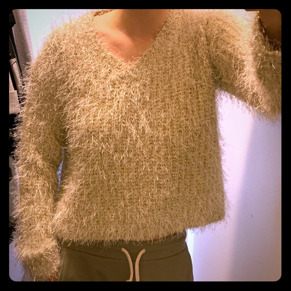 Raga Metallic Cropped Sweater